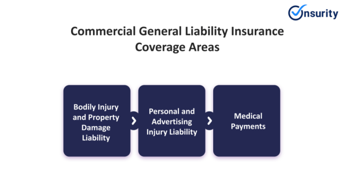 Commercial General Liability Insurance: The Business Guide